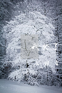 我欠了網(wǎng)貸不想活了(還不上網(wǎng)貸了不想活了)