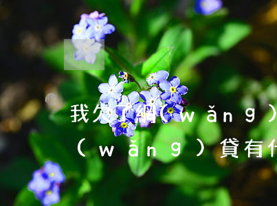 我欠了網(wǎng)貸六萬多(欠六萬多網(wǎng)貸有什么辦法)