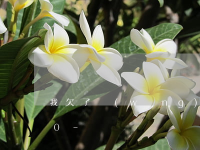 我欠了網(wǎng)貸和信用卡33000-
