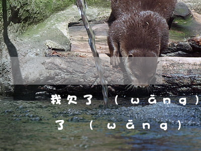 我欠了網(wǎng)貸想跟家人說(自己欠了網(wǎng)貸怎么和家里人說)