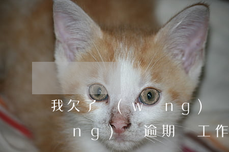 我欠了網(wǎng)貸換了新工作(網(wǎng)貸逾期換工作單位還能找到嗎)