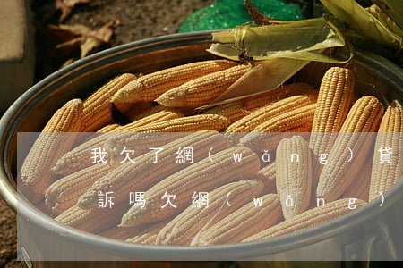 我欠了網(wǎng)貸會(huì)被起訴嗎(欠網(wǎng)貸會(huì)被法院起訴嗎)