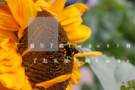 我欠了網(wǎng)貸當(dāng)兵了怎么還呀(網(wǎng)貸沒還完去當(dāng)兵)