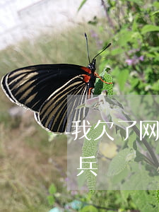 我欠了网贷当兵了怎么还呀(网贷没还完去当兵)