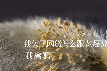 我欠了网贷怎么跟老婆说(欠了网贷老婆要和我离婚)