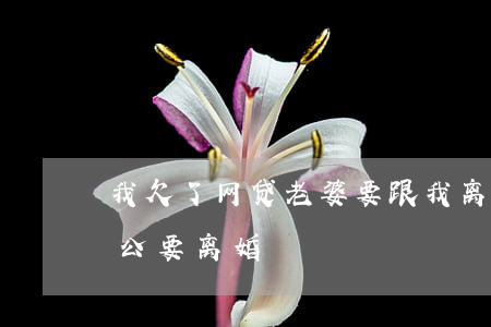 我欠了网贷老婆要跟我离婚(老婆欠了网贷老公要离婚)
