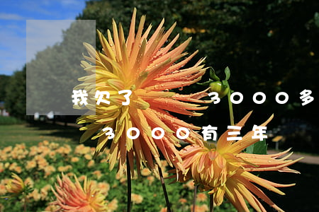 我欠了買單俠3000多塊錢沒還-欠買單俠3000,有三年沒還,現(xiàn)在叫我還六千
