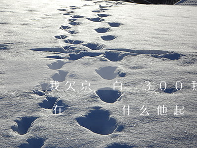 我欠京東白條300(我欠京東白條的錢我能在無錫為什么他起訴到哈爾濱)