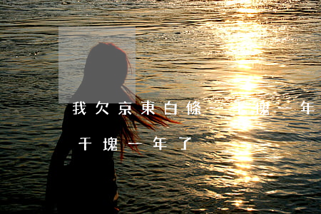 我欠京東白條一千塊一年了(我欠京東白條一千塊一年了)