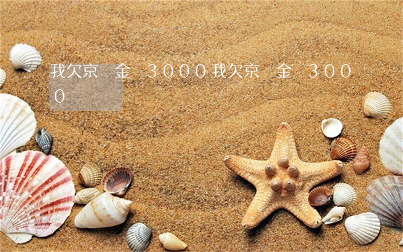 我欠京東金條3000(我欠京東金條3000)