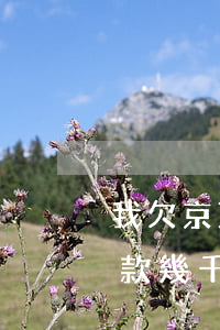 我欠京東金條的錢(qián)(京東金條欠款幾千塊錢(qián)不還了會(huì)怎么樣)