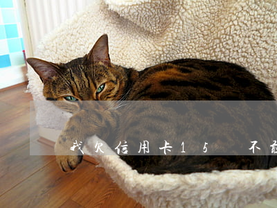 我欠信用卡15萬不敢和媳婦說-