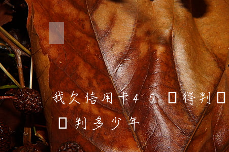 我欠信用卡40萬得判幾年啊!（信用卡40萬判多少年）