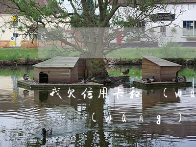 我欠信用卡和網(wǎng)貸很多錢怎么辦(網(wǎng)貸和信用卡欠了十幾萬,應(yīng)該怎么辦?)