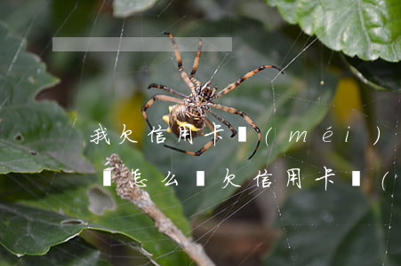 我欠信用卡沒(méi)錢(qián)不還怎么辦(欠信用卡錢(qián)還不出怎么辦)