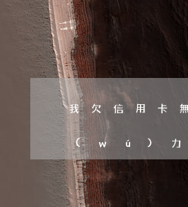 我欠信用卡無(wú)力償還 我欠信用卡無(wú)力償還該怎么辦