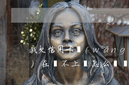 我欠信用卡,網(wǎng)貸,現(xiàn)在還不上,該怎么辦（還不起信用卡網(wǎng)貸了）