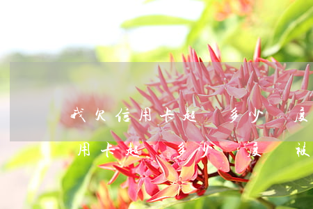 我欠信用卡超過多少額度會被起訴-我欠信用卡超過多少額度會被起訴呢