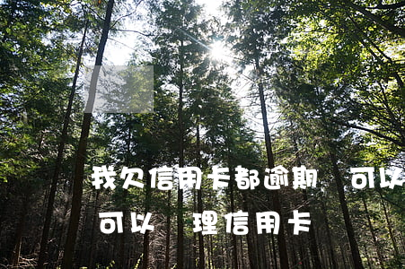 我欠信用卡都逾期還可以借花唄(花唄逾期還可以辦理信用卡)