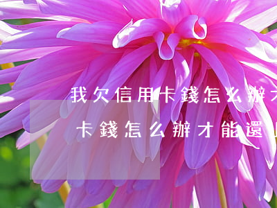 我欠信用卡錢怎么辦才能還上啊-我欠信用卡錢怎么辦才能還上啊