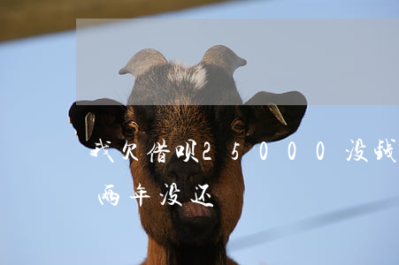 我欠借呗25000没钱还(借呗5000块两年没还)