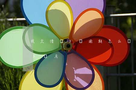 我欠借唄3萬逾期怎么辦(借唄欠款7萬逾期3個月)