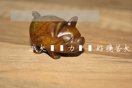 我欠債無力償還好痛苦(欠了一堆債無力償還)