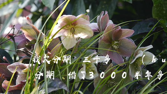 我欠分期樂三千多沒還會(huì)怎么樣(分期樂借了3000半年多沒還了)