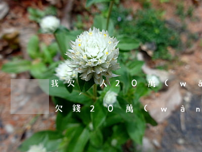 我欠別人20萬(wàn)要起訴我怎么辦（欠錢20萬(wàn)別人起訴了）