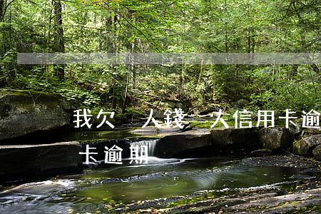 我欠別人錢別人信用卡逾期(別人用我的信用卡逾期)