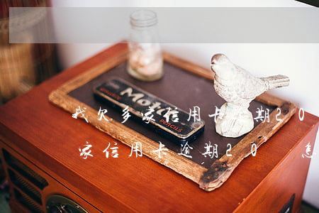 我欠多家信用卡逾期20萬怎么辦-我欠多家信用卡逾期20萬怎么辦呢