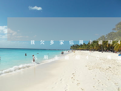 我欠多家信用卡逾期40萬塊錢-我欠多家信用卡逾期40萬塊錢怎么辦