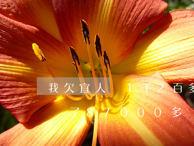 我欠宜人貸1千2百多(借宜人貸55000,還了87000多,還欠5000)
