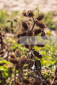 我欠小米贷款(我欠小米贷款两年多他们会上来收债吗)