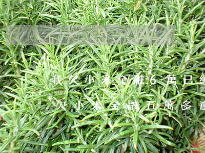我欠小米金融6萬已經(jīng)逾期了(欠小米金融五萬多逾期3年了怎么辦)