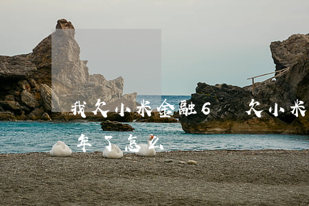 我欠小米金融6萬(欠小米金融五萬多逾期3年了怎么辦)