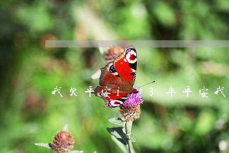 我欠平安i貸3年(平安我的i貸)