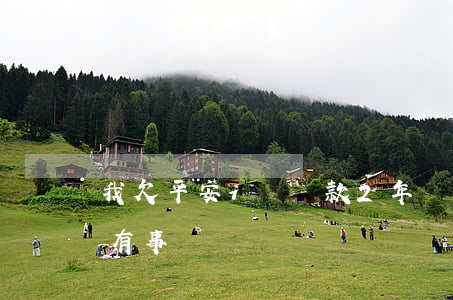 我欠平安i貸貸款2年沒還了(平安i貸不還有事嗎)