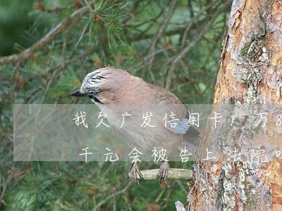 我欠广发信用卡1万8千(欠广发银行一万五千元会被告上法院吗?)