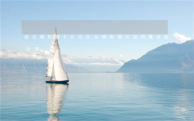 我欠微粒貸4000元(微粒貸欠款四萬多的后果)