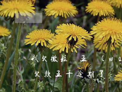 我欠微粒貸五萬(wàn)多逾期了(微粒貸欠款五千逾期了)