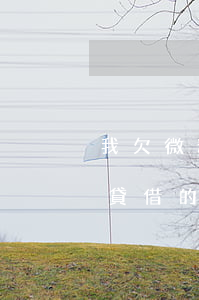 我欠微粒貸的錢(qián)還用還嗎(微粒貸借的錢(qián)可以還微粒貸嗎)