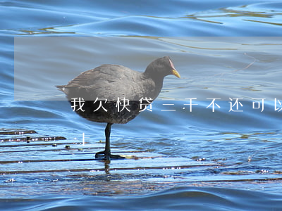 我欠快贷三千不还可以不(快贷欠了3年还不上)