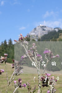 我欠拍拍貸1萬多收到律師函(拍拍貸給我發(fā)了律師函已經收到了)