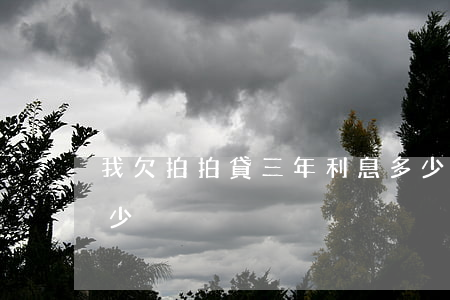我欠拍拍貸三年利息多少(拍拍貸借三萬還多少)