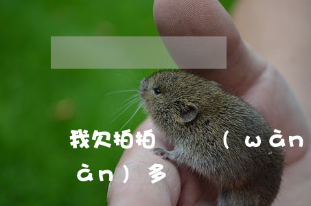 我欠拍拍貸兩萬(wàn)(拍拍貸一萬(wàn)多沒還)