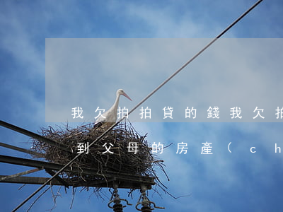 我欠拍拍貸的錢(我欠拍拍貸的錢會不會牽扯到父母的房產(chǎn))