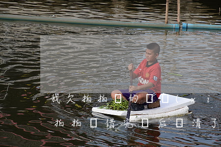 我欠拍拍貸的錢現(xiàn)在怎么還款(拍拍貸借完錢后還清了怎么再借不了了)
