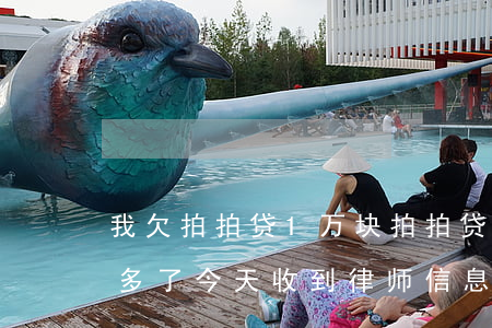 我欠拍拍贷1万块(拍拍贷欠1000块两年多了今天收到律师信息)
