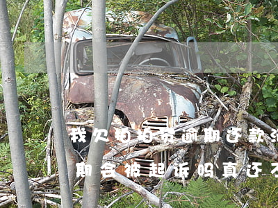 我欠拍拍贷逾期还款法院支不支持(拍拍贷逾期会被起诉吗?真还不上怎么办)